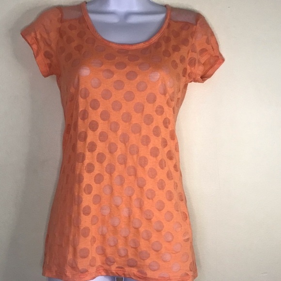 Derek Heart peach sheer polka dot top - Picture 5 of 13